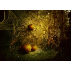 Spider Web Winding Pumpkin Theme Halloween Backdrop Decoration Prop Photography Background