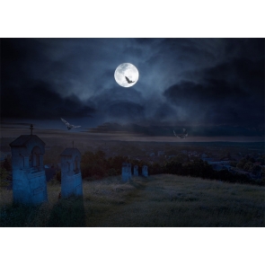 Full Moon Dark Night Terrifying Graveyard Halloween Photo Backdrop Photography Background
