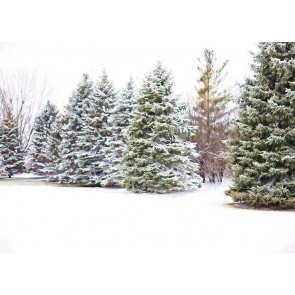 Christmas Tree Winter Scene Backdrops Photo Booth Photography Background