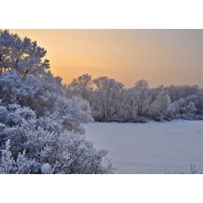 In The Sunset Snow Covered Winter Scene Backdrops Christmas Photography Background