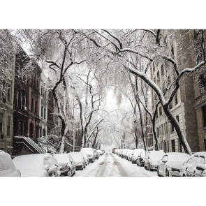Snow Covered Street Winter Scene Backdrops Christmas Photography Background