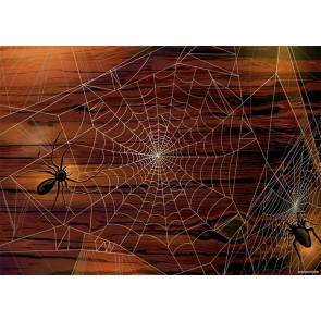Spider Web Wood Wall Halloween Backdrop Party Prop Photography Background