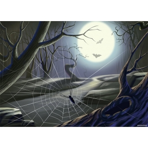 Scary Forest Spider Web Halloween Backdrop Party Photography Background