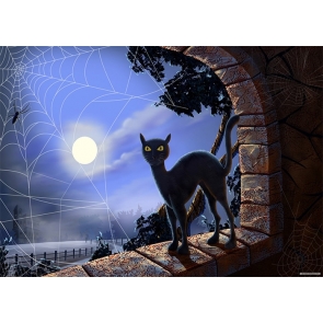 Spider Web Black Cat On Stone Windowsill Halloween Backdrop Photography Background