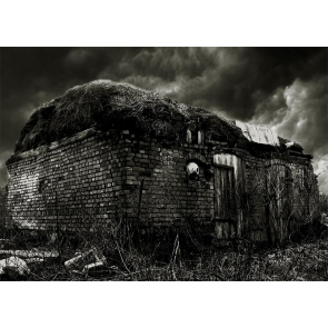 Terror Dark Scary Deserted Stone House Halloween Backdrop Studio Photography Background