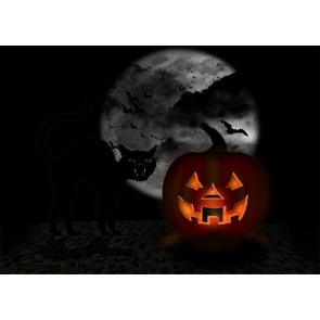 Terror Dark Cat Scary Pumpkin Halloween Backdrop Studio Stage Photography Background