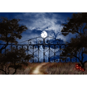 Terror Ghost Scary Pumpkin Moon Dark Forest Halloween Party Backdrop