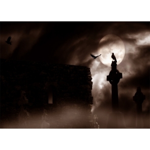 Terrifying Cemetery Scary Graveyard Backdrop Halloween Party Studio Stage Photography Background