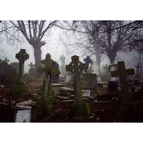 Terrifying Cemetery Scary Graveyard Halloween Backdrop Studio Stage Photography Background