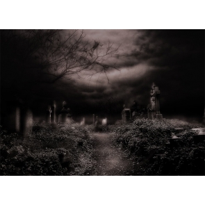 Scary Terrifying Dark Cemetery Graveyard Halloween Party Backdrop Studio Stage Photography Background