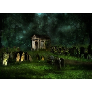 Scary Terrifying Cemetery Graveyard Forest  Halloween Backdrop Party Stage Photography Background