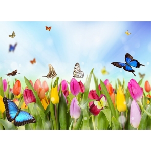 Colorful Flower Butterfly Backdrop Baby Shower Birthday Party Photography Background