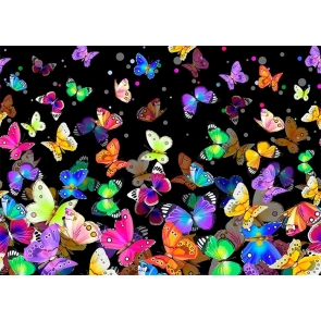 Black Background Sparkly Colorful Butterfly Backdrop Party Studio  Photography Prop