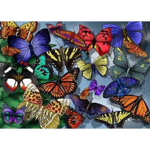 Personalized Colorful Butterfly Party Backdrop Studio Photography Background