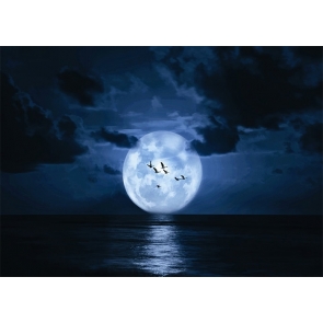 Water Connects To Full Moon Backdrop Party Stage Studio Photography Background