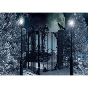 Street Lamp Lron Fence Gate Crow Halloween Backdrop Party Stage Photography Background