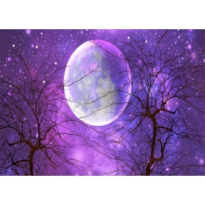 Purple Sky Stars Large Full Moon Backdrop Party Stage Studio Photography Background