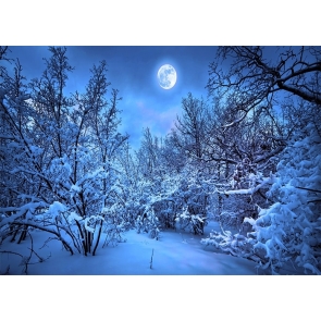 Night Snow Covered Forest Winter Scene Backdrop Christmas Party Photography Background