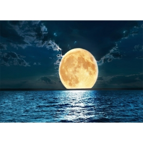 At Night Gold Full Moon Backdrop Party Stage Studio Photography Background