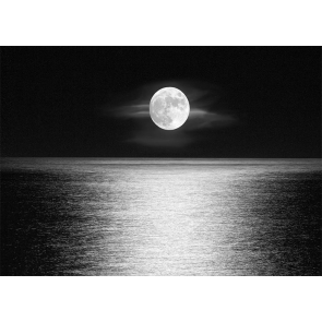 At Night Water Surface Full Moon Backdrop Party Stage Studio Photography Background