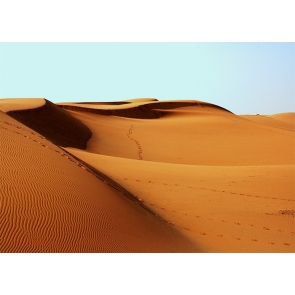  Desert Scenic Backdrop Stage Party Photography Background