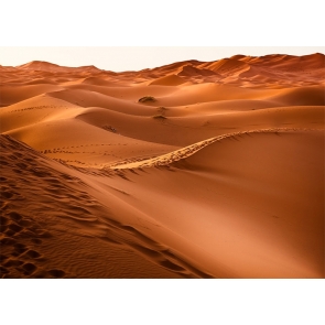 Wavy Sand Pile Desert Backdrop For Stage Photography Background