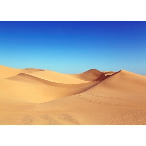 Blue Sky Desert Scenic Backdrop Stage Party Photography Background