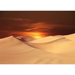 Sunrise Desert Backdrop For Stage Photography Background