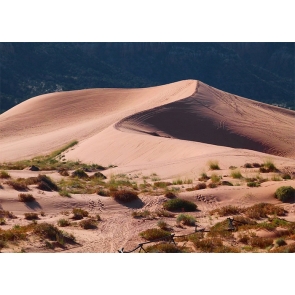 Green Plants Desert Scenic Backdrop Stage Party Photography Background