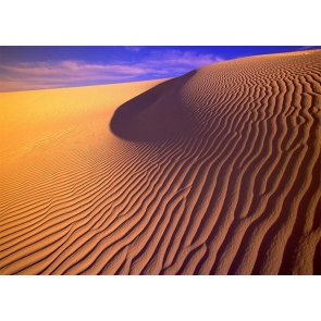 Water Wavy Desert Backdrop Stage Party Photography Background