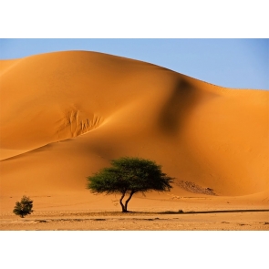 Fine Sand Pile Scenic Desert Backdrop Stage Party Photography Background