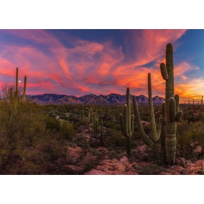 Huge Desert Cactus Backdrop Scenic Party Photography Background