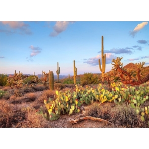 Blue Sky White Cloud Desert Cactus Backdrop Stage Party Photography Background