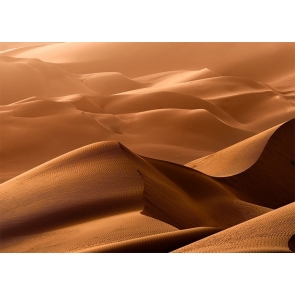 Wavy Sand Scenic Desert Backdrop For Stage Photography Background