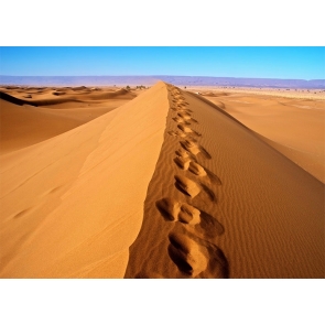 Footprint Desert Scenic Backdrop For Stage Photography Background