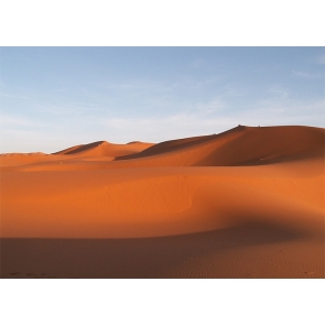Brown Sand Scenic Desert Backdrop For Stage Photography Background