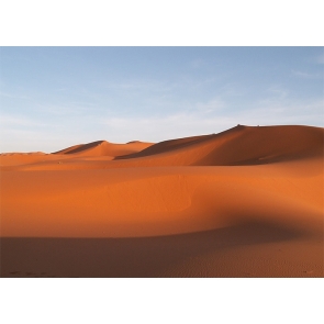 Brown Sand Scenic Desert Backdrop For Stage Photography Background