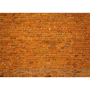 Outdoor Retro Brown  Brick Wall Backdrops Studio Party Photography Background 