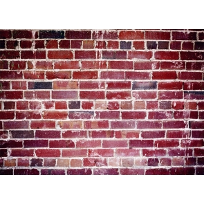 Retro Red Brick Wall Backdrops Studio Photography Background 