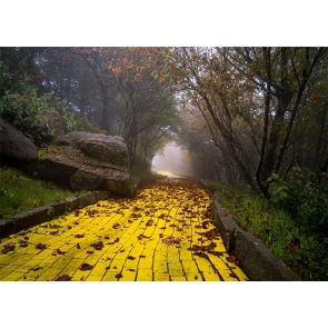 Yellow Brick Road Backdrop Scenic Stage Party Photography Background