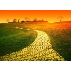 Green Grass Yellow Brick Road Backdrop Stage Party Photography Background