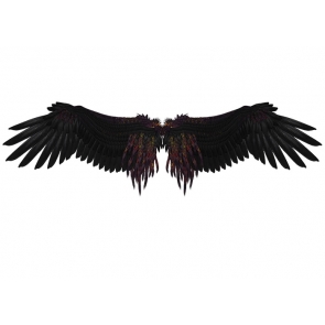 Black Angel Wings Photo Backdrop Studio Photography Background