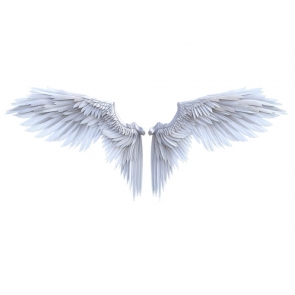 White Angel Wings Backdrop Studio Photography Background