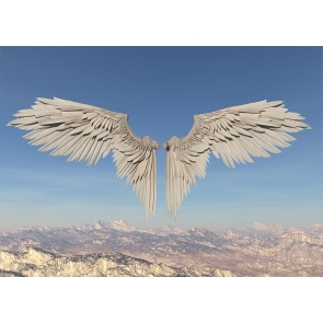 Blue Sky Gray Angel Wings Backdrop Studio Photography Background