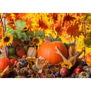 Fall Harvest Thanksgiving Backdrop Party Photography Background