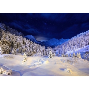 Snow Covered Forest At Night Winter Scene Backdrops Stage Photo Booth Photography Background