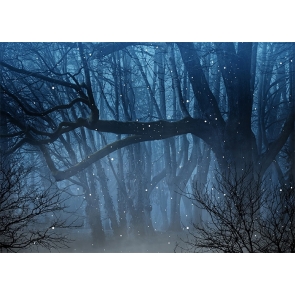 Fog Diffuse Dark Enchanted Forest Backdrop Stage Party Photography Background