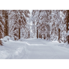 Snow Covered Forest Road Winter Scene Backdrop Christmas Stage Photography Background