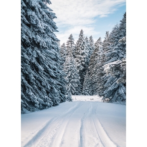 Christmas Snow Covered Forest Winter Scene Backdrop Stage Photography Background