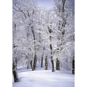 Snow Covered Forest Wonderland Winter Scene Christmas Backdrop Stage Photography Background